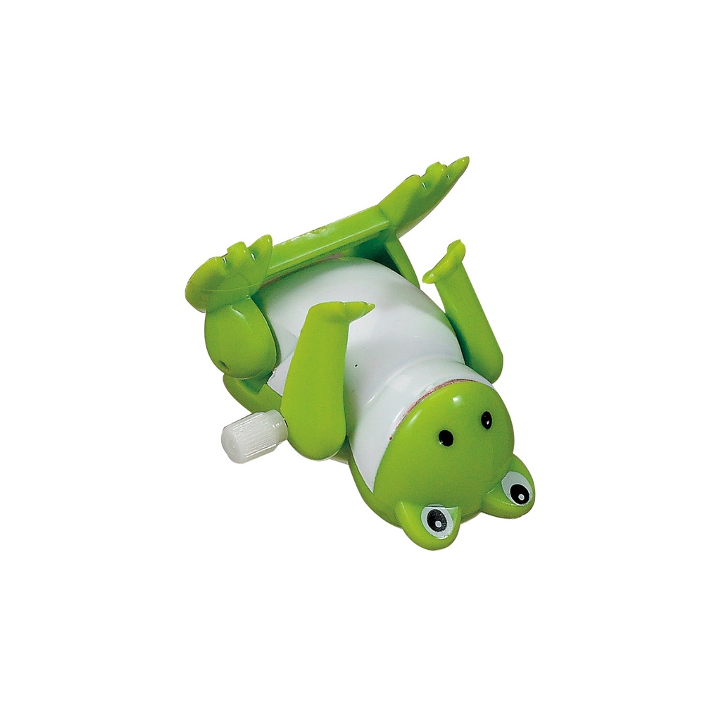 TYPP-FROG-11 ACTION1_W