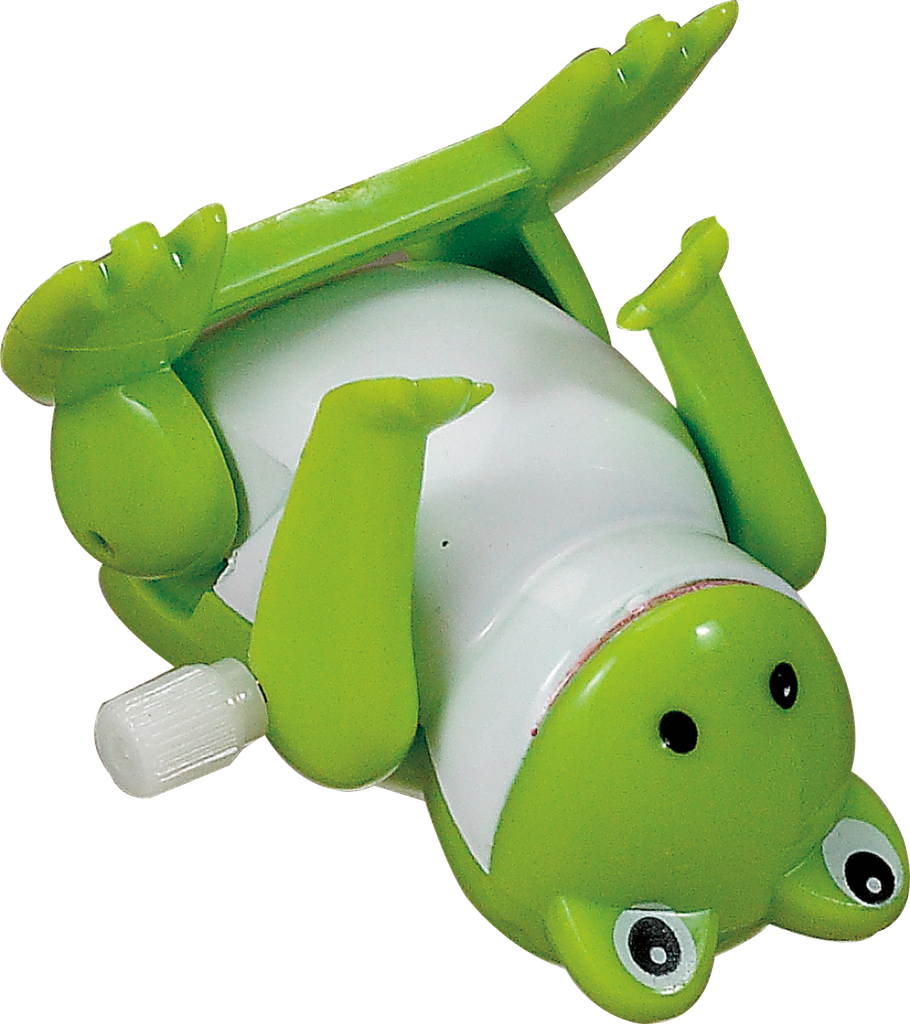 TYPP-FROG-11 ACTION1_W