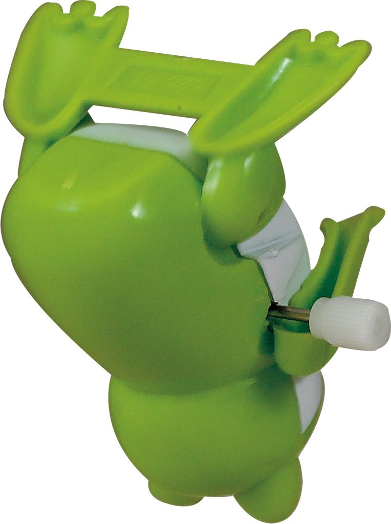 TYPP-FROG-11 ACTION2_W