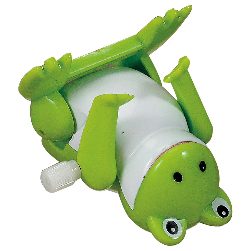 TYPP-FROG-11_W FLIPPED