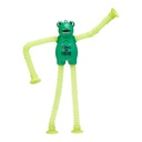 TYPP-FROG-31_OPEN2_W