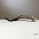 Yemenite Shofar-Approx 60 CM