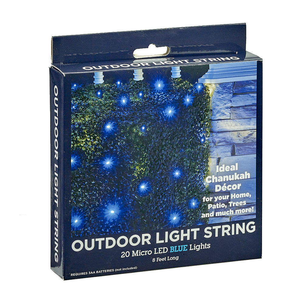 Outdoor Light String with 20 Micro LED Blue Lights