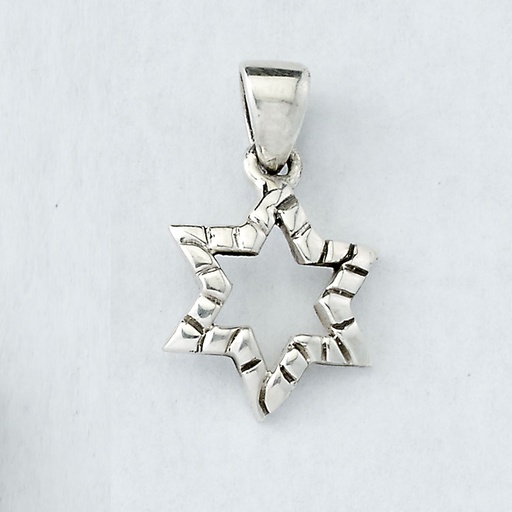 [JPE-5037] 0.7" Sterling Silver Textured Star Pendant